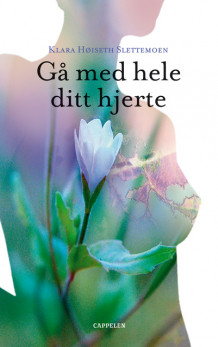 Gå med hele ditt hjerte av Klara Høiseth (Ebok)