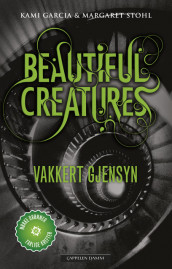 Vakkert gjensyn av Kami Garcia (Ebok)