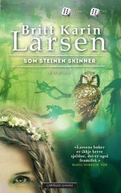 Omslag - Som steinen skinner