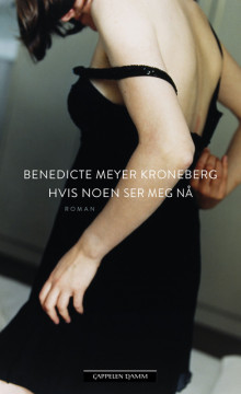 Hvis noen ser meg nå av Benedicte Meyer Kroneberg (Innbundet)