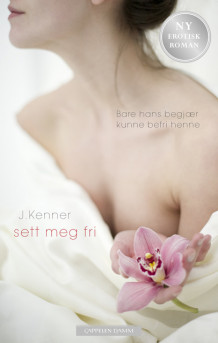 Sett meg fri av Julie Kenner (Ebok)