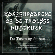 Kongbrødrene og de troløse hustruer av Flere (Nedlastbar lydbok)