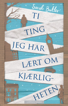 Ti ting jeg har lært om kjærligheten av Sarah Butler (Ebok)