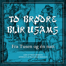 To brødre blir usams av Flere (Nedlastbar lydbok)