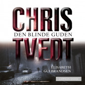 Den blinde guden av Elisabeth Gulbrandsen og Chris Tvedt (Nedlastbar lydbok)