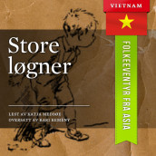 Store løgner av Flere (Nedlastbar lydbok)