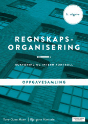 Regnskapsorganisering - Oppgavesamling av Bjørgunn Havstein og Tove-Gunn Moen (Heftet)