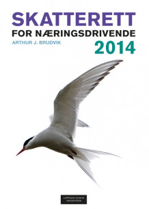Skatterett for næringsdrivende 2014 av Arthur J. Brudvik (Heftet)