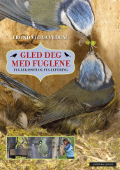 Gled deg med fuglene av Trond Vidar Vedum (Fleksibind)