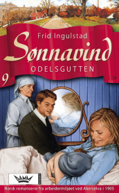 Odelsgutten av Frid Ingulstad (Ebok)