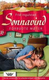 Forbudte møter av Frid Ingulstad (Ebok)