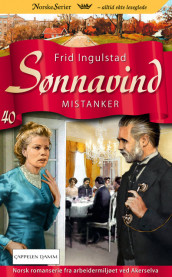 Mistanker av Frid Ingulstad (Ebok)