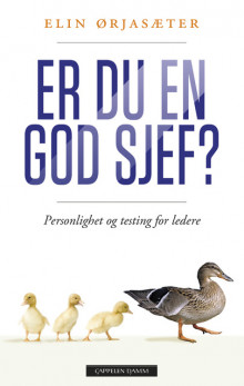 Er du en god sjef? av Elin Ørjasæter (Innbundet)