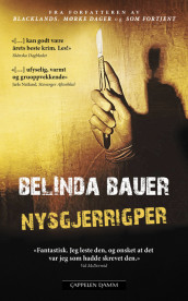 Nysgjerrigper av Belinda Bauer (Heftet)