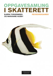 Oppgavesamling i skatterett av Marianne Husby og Bjørn Torgrimsen (Heftet)