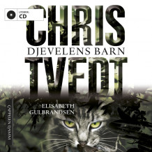 Djevelens barn av Elisabeth Gulbrandsen (Lydbok-CD)