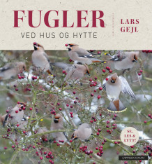 Fugler ved hus og hytte av Lars Gejl (Innbundet)