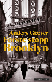 Første stopp Brooklyn av Anders Giæver (Innbundet)