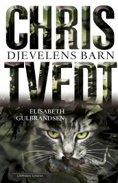 Djevelens barn av Elisabeth Gulbrandsen og Chris Tvedt (Ebok)