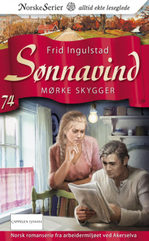 Mørke skygger av Frid Ingulstad (Heftet)