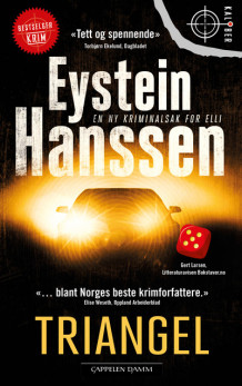 Triangel av Eystein Hanssen (Heftet)