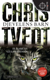 Djevelens barn av Elisabeth Gulbrandsen og Chris Tvedt (Heftet)