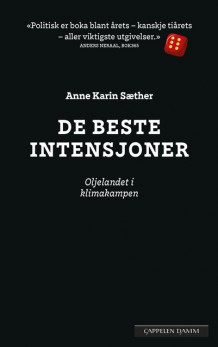 De beste intensjoner av Anne Karin Sæther (Innbundet)