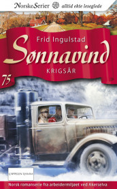 Krigsår av Frid Ingulstad (Ebok)