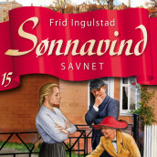 Savnet av Frid Ingulstad (Nedlastbar lydbok)