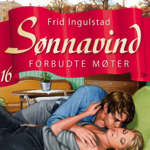 Forbudte møter av Frid Ingulstad (Nedlastbar lydbok)