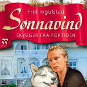 Skygger fra fortiden av Frid Ingulstad (Nedlastbar lydbok)