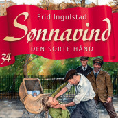 Den sorte hånd av Frid Ingulstad (Nedlastbar lydbok)