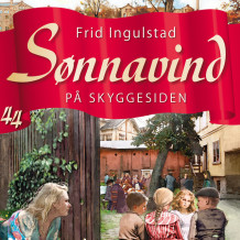 På skyggesiden av Frid Ingulstad (Nedlastbar lydbok)