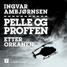 Etter orkanen av Ingvar Ambjørnsen (Nedlastbar lydbok)