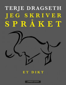 Jeg skriver språket av Terje Dragseth (Innbundet)