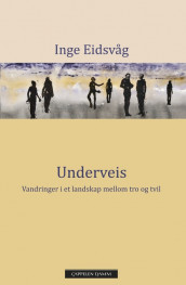 Underveis av Inge Eidsvåg (Innbundet)