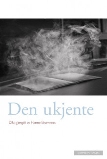 Den ukjente av Hanne Bramness (Ebok)