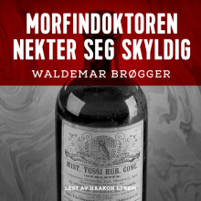 Morfindoktoren nekter seg skyldig av Waldemar Brøgger (Nedlastbar lydbok)