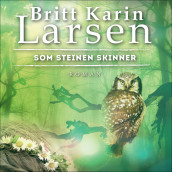 Som steinen skinner av Britt Karin Larsen (Nedlastbar lydbok)