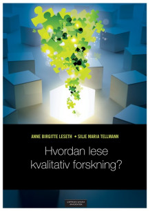 Hvordan lese kvalitativ forskning? av Anne Birgitte Leseth og Silje Maria Tellmann (Ebok)