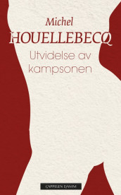 Utvidelse av kampsonen av Michel Houellebecq (Heftet)