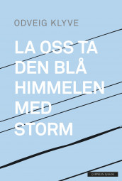 La oss ta den blå himmelen med storm av Odveig Klyve (Ebok)