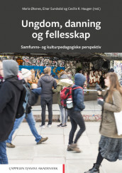Ungdom, danning og fellesskap av Cecilie R. Haugen, Einar Sundsdal og Maria Øksnes (Heftet)
