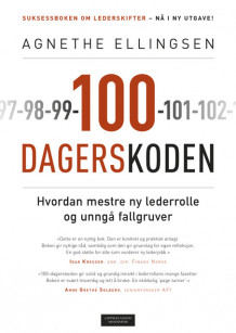 100-dagerskoden av Agnethe Ellingsen (Innbundet)