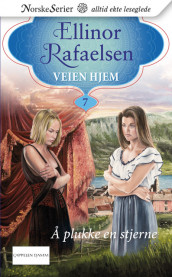 Å plukke en stjerne av Ellinor Rafaelsen (Ebok)