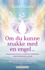 Om du kunne snakke med en engel- av Gerry Gavin (Ebok)