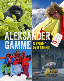 12 eventyr og et badekar av Aleksander Gamme (Innbundet)