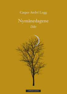 Nymånedagene av Casper André Lugg (Ebok)