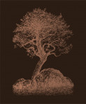 Omslag - Maaemo