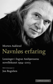 Navnløs erfaring av Morten Auklend (Ebok)